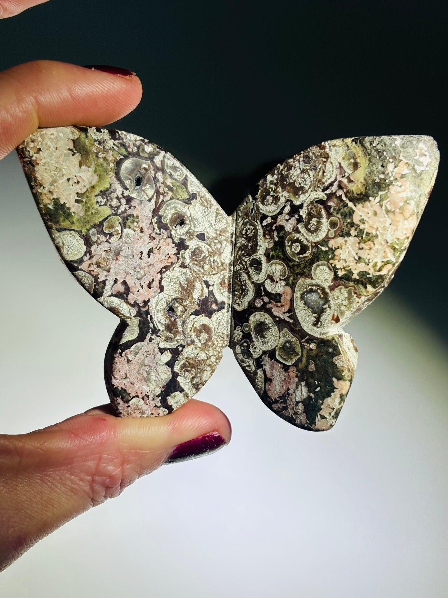 Ocean Jasper Butterfly – Madagascan | Large 8cm
