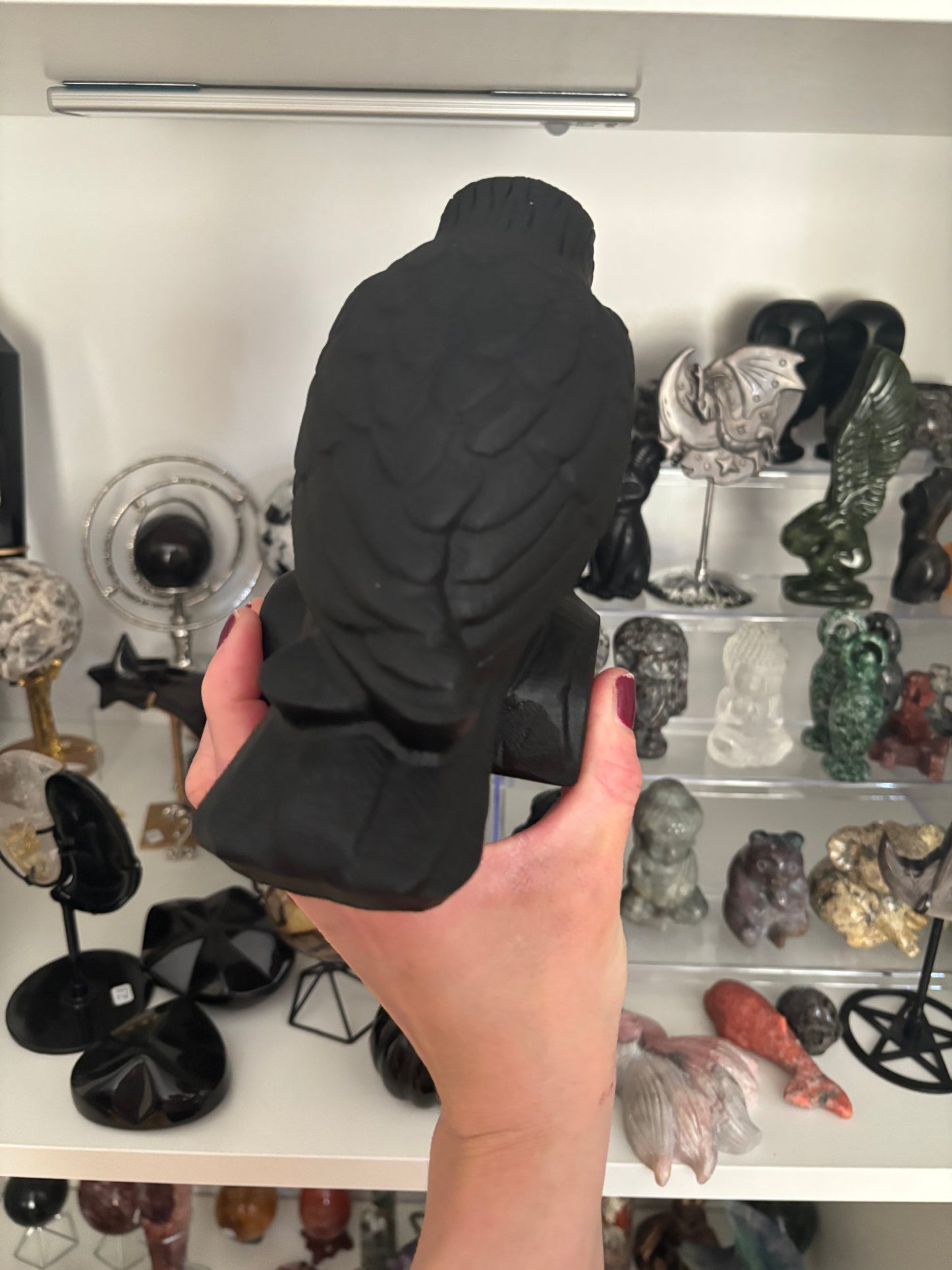 🖤 Statement Obsidian Raven 🖤