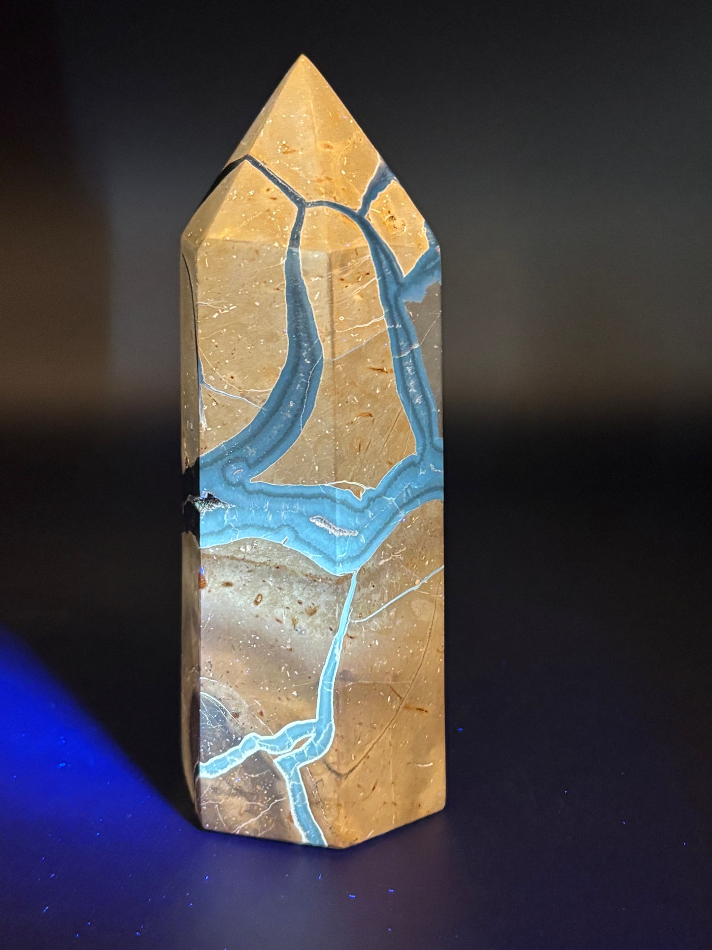 Septarian Tower -Black Druzy “Dragon Stone” (461g)