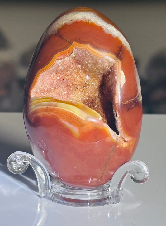 🧡 Madagascan Druzy Carnelian Egg* 🧡
