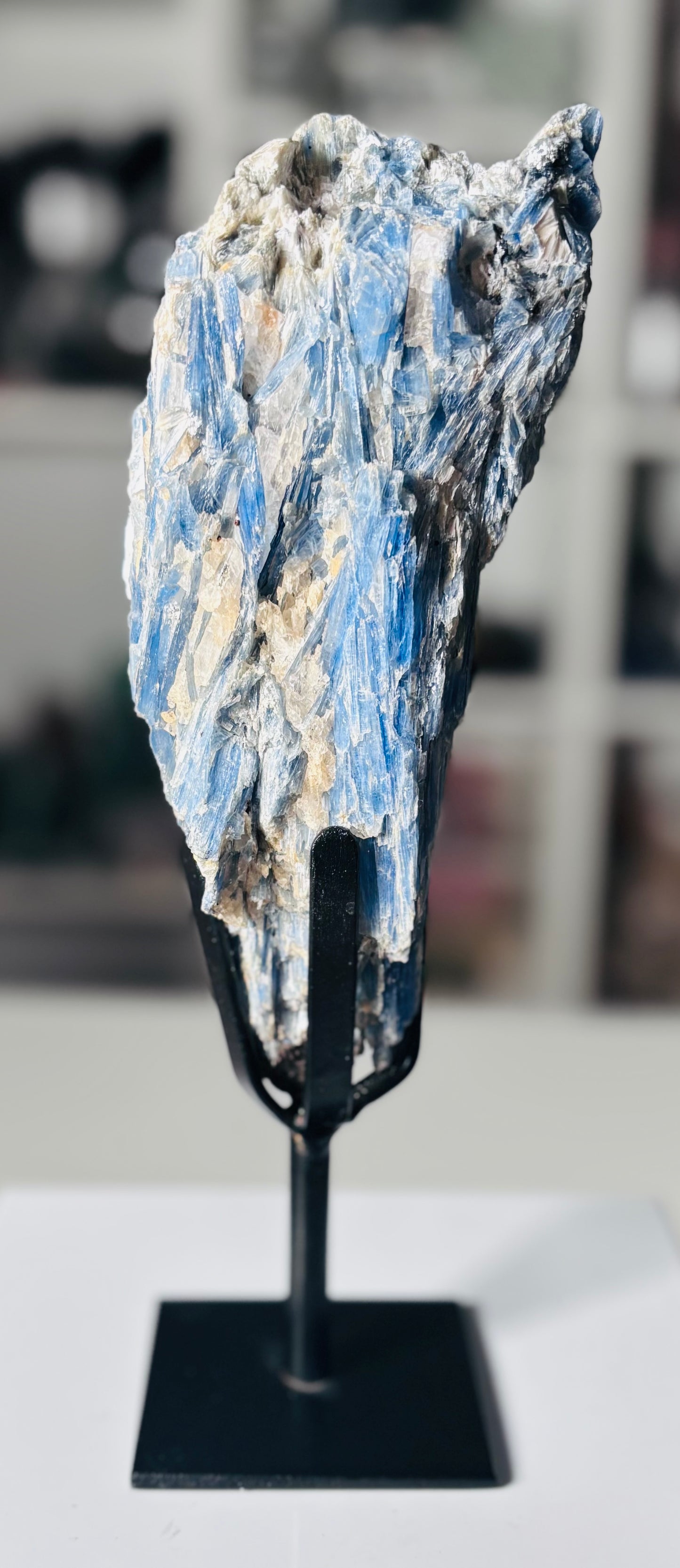 💙 Statement Blue Kyanite on Custom Display Stand – Brazil 💙