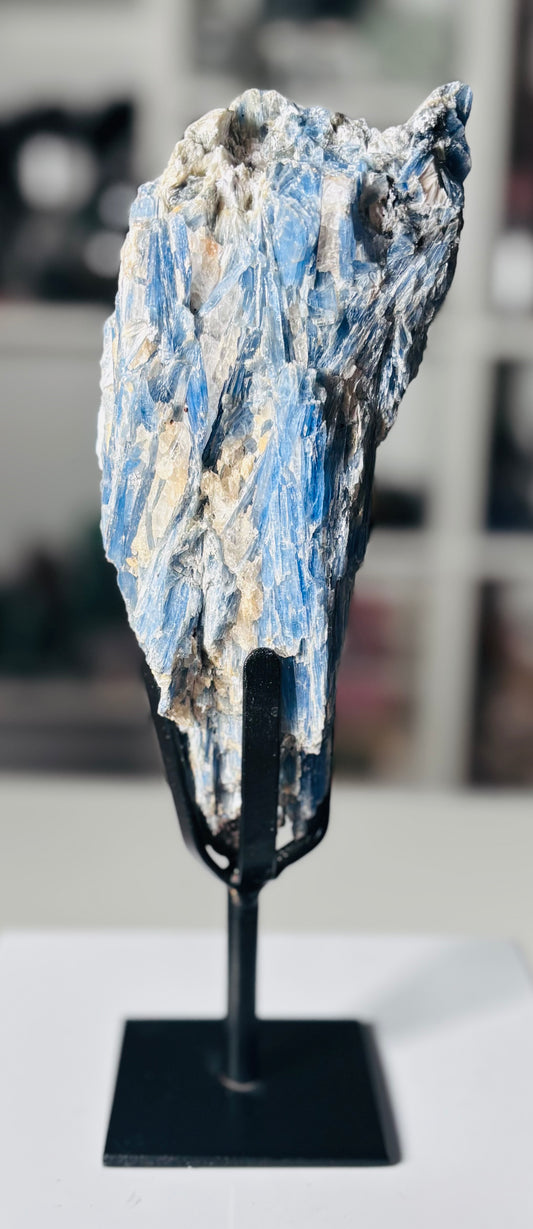 💙 Statement Blue Kyanite on Custom Display Stand – Brazil 💙