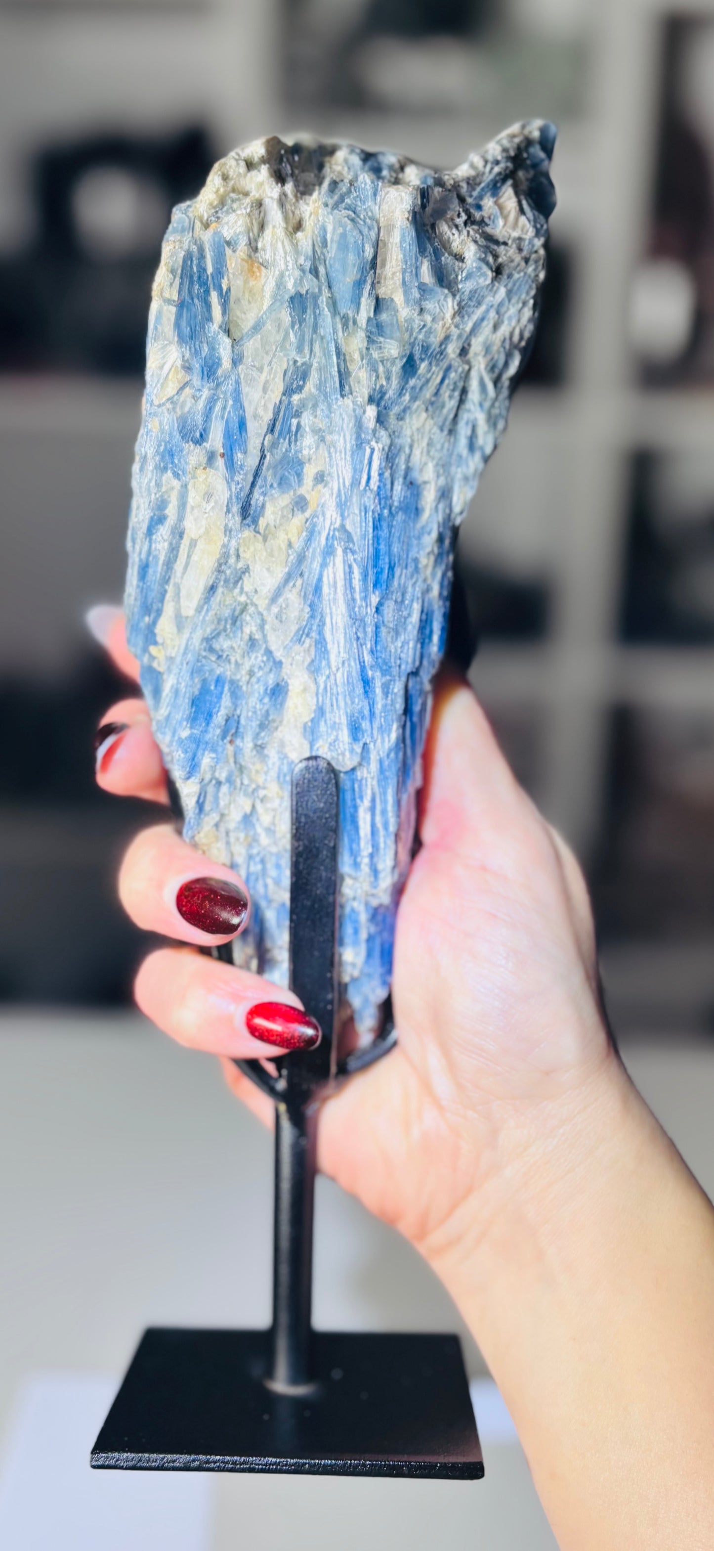 💙 Statement Blue Kyanite on Custom Display Stand – Brazil 💙