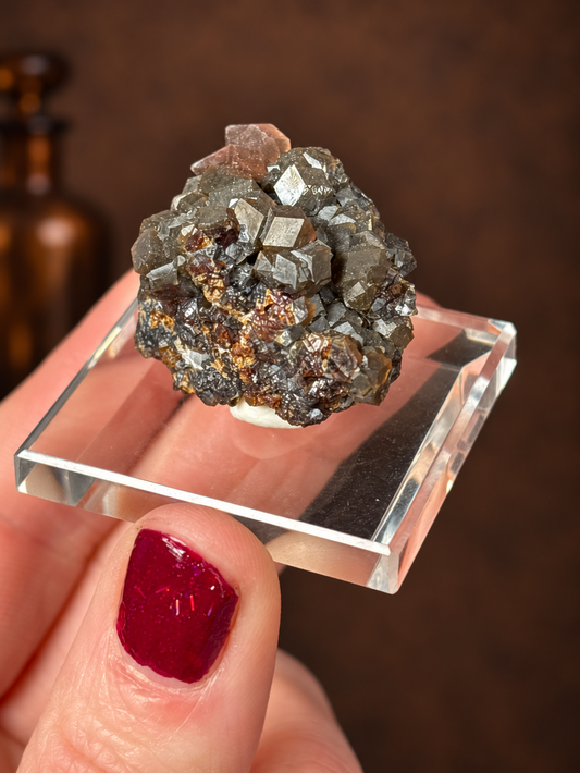 Andradite Garnet (Melanite) Cluster