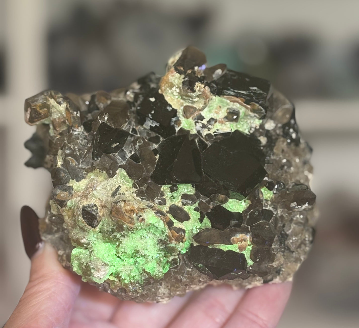 Namibian Black Tourmaline & Smoky Quartz UV-Reactive Collector's Specimen | Erongo Region | 500–600g