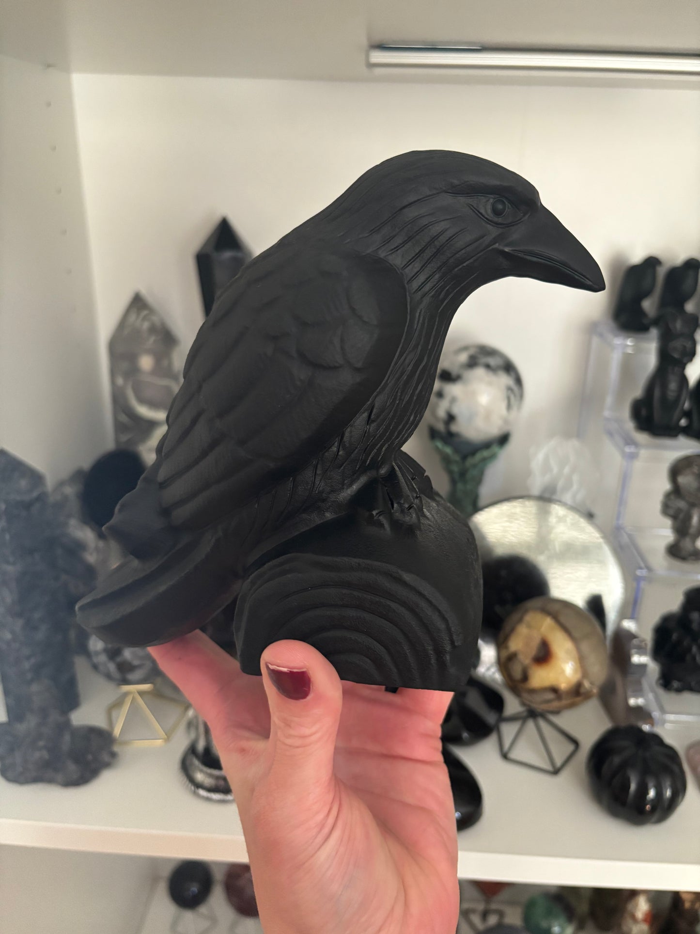 🖤 Statement Obsidian Raven 🖤