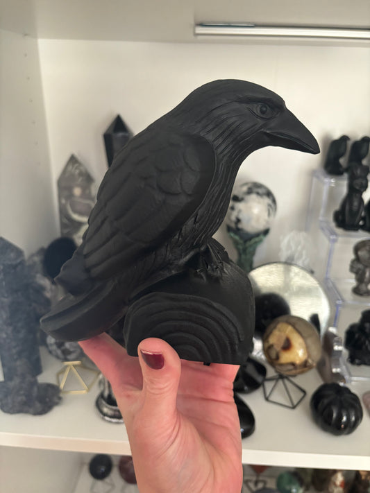 🖤 Statement Obsidian Raven 🖤