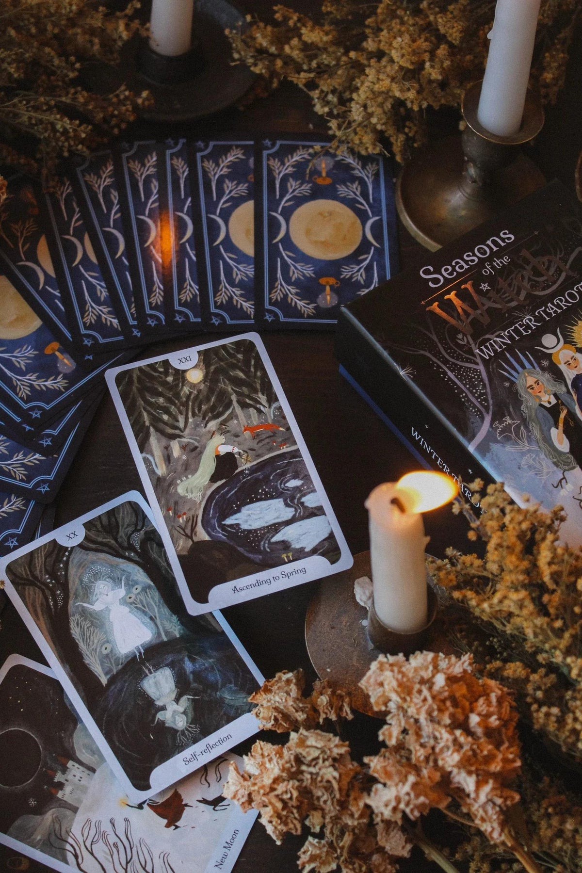 Seasons of the Witch Winter Tarot cards arranged beside the deck box with moonlit forest illustrations, winter imagery, candles and dried flowers.