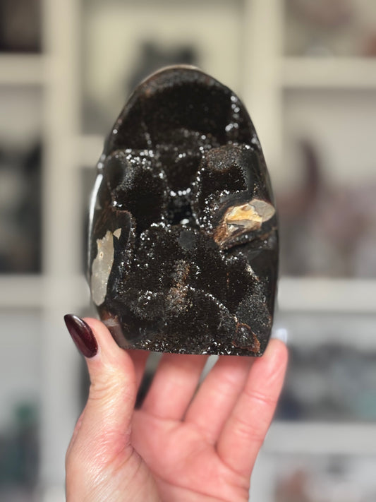 Black Septarian Dragon Stone Freeform  927g 🖤