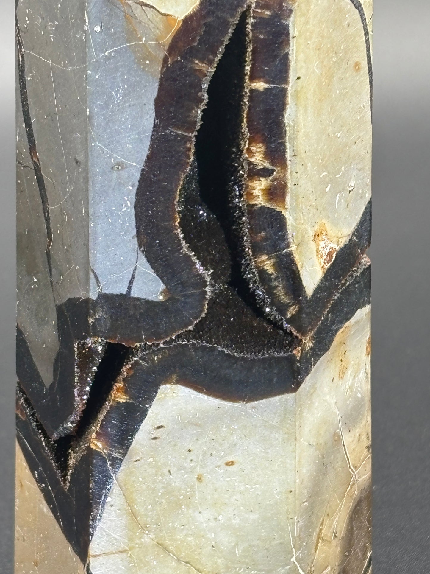 Septarian Tower -Black Druzy “Dragon Stone” (461g)