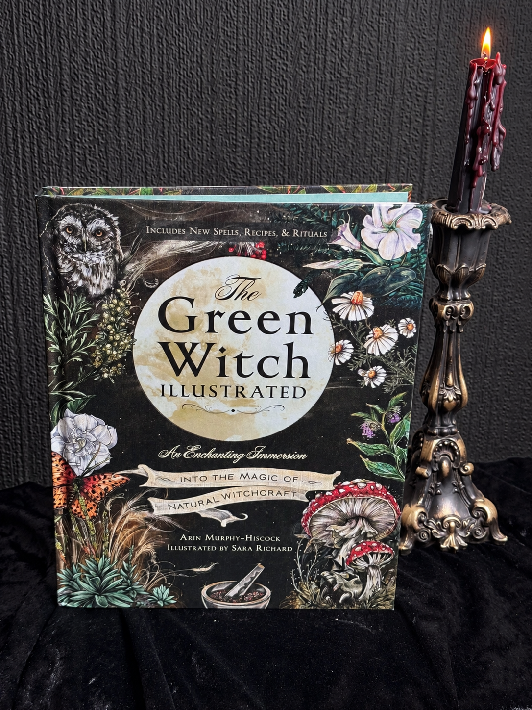 The Green Witch Illustrated by Arin Murphy-Hiscock, featuring botanical artwork, an owl, butterflies, mushrooms and flowers on a dark illustrated cover.