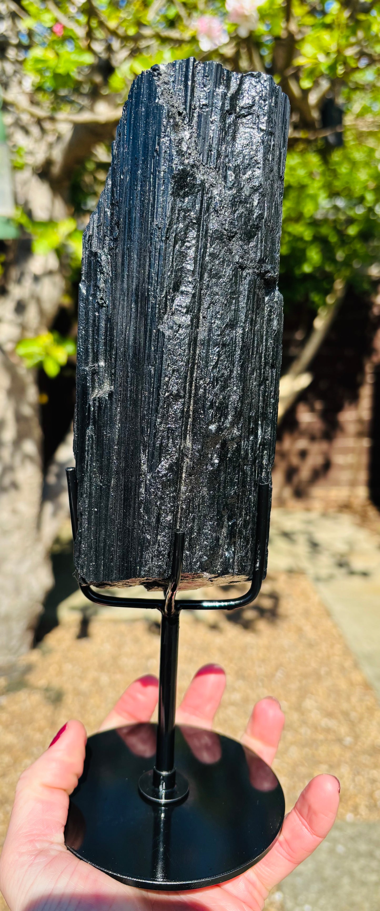 Raw Black Tourmaline Guardian on Stand  1.669kg Statement Protection Piece
