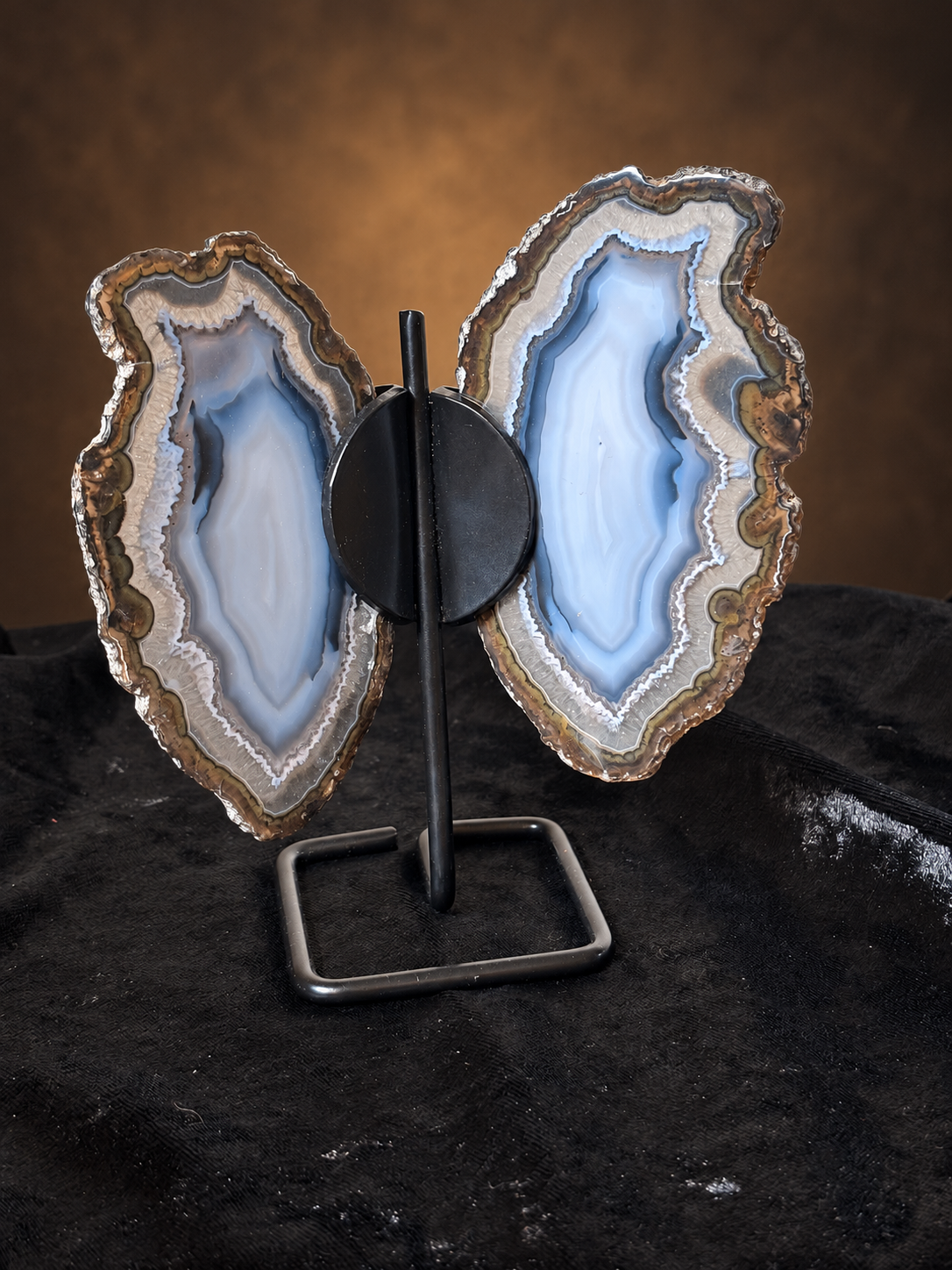 Brazilian Agate Butterfly Wings on Stand