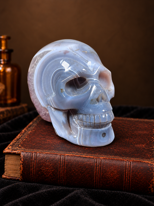 Blue Banded Agate & Amethyst Druzy Skull